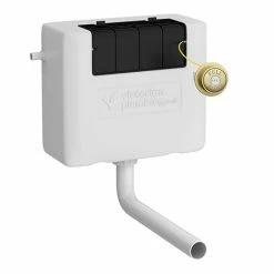 Chatsworth Traditional Dual Flush Concealed Cistern - Brushed Brass