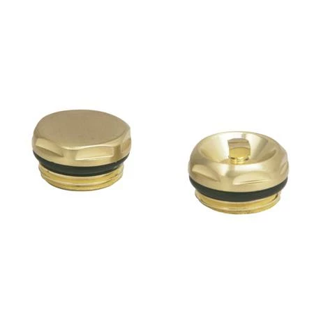 Chatsworth Radiator 1/2" Bleed Valve & Blanking Plug Brushed Brass 3 Chatsworth Radiator 1/2" Bleed Valve & Blanking Plug Brushed Brass - Image 3